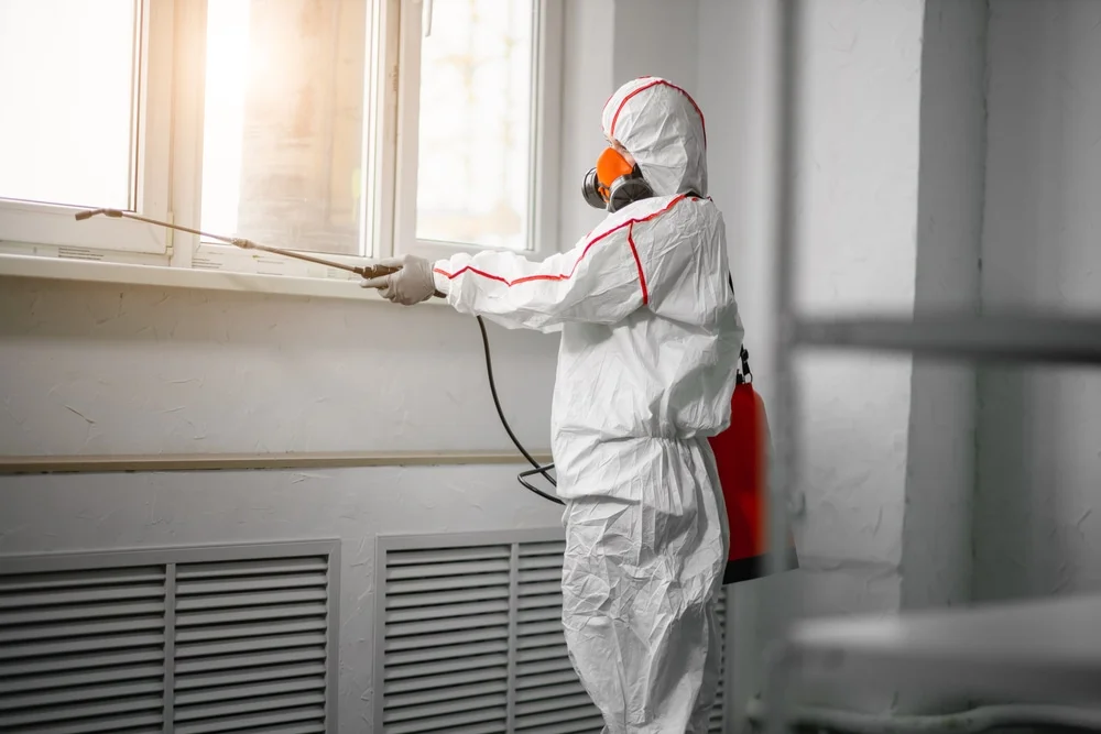 Professional mold remediation services in Hominy, OK